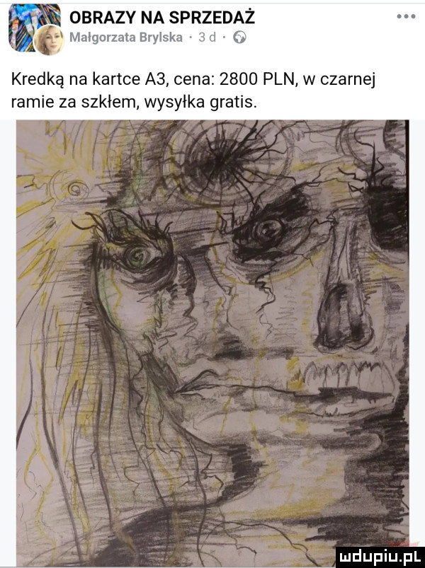 obrazy na sprzedaż gn małgorzata brylska   d   kredką na kartce a  cena      pln w czarnej ramie za szkłem wysyłka gratis