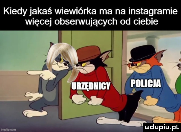 kiedy jakaś wiewiórka ma na instagramie więcej obserwujących od ciebie