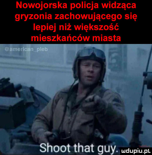 nowojorska policja widząca gryzonia zachowującego się lepiej niż większość mieszkańców miasta s ammican pleb shoot trat gay