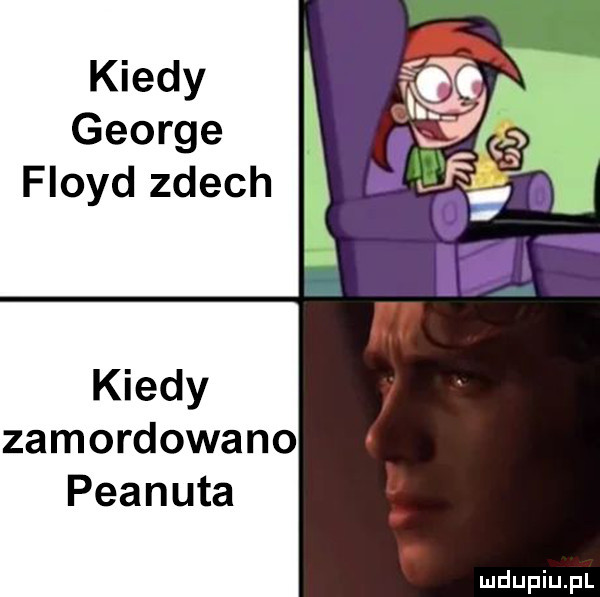 kiedy george floyd zdech kiedy zamordowano peanuta