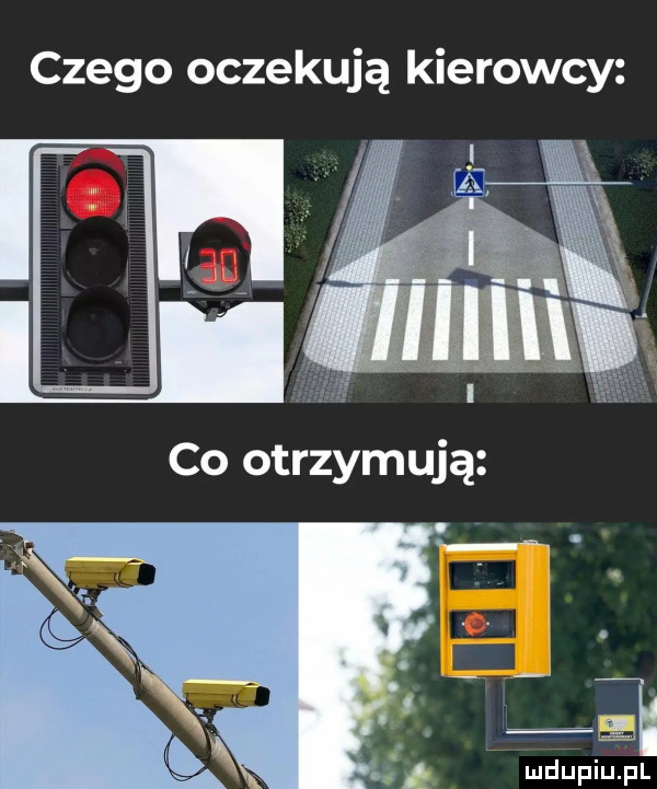 czego oczekują kierowcy