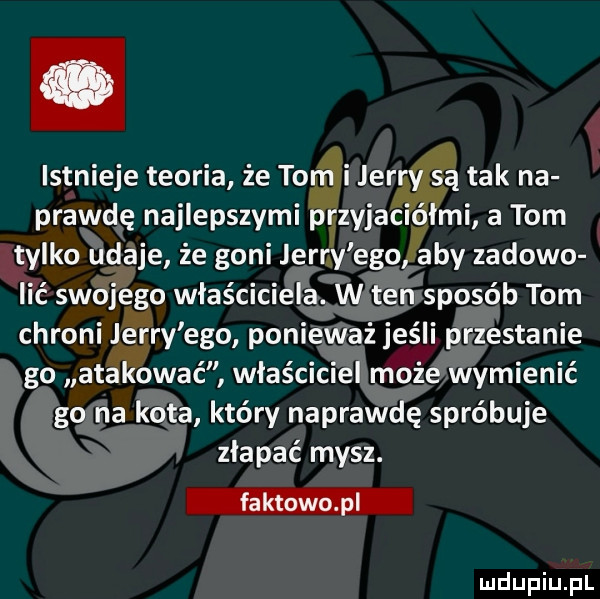 istnieje teoria że to i    tak na prawe ę najlepszym zyjac mi   tom ylkohcg eee ze goni jlerny ego aby zadoro ć sw e o właściwi sposób tom chroniś św ego pani ażjeślgestanie go at ogać właściwi ymienić g a a który napra ę spróbuje złapać mysz