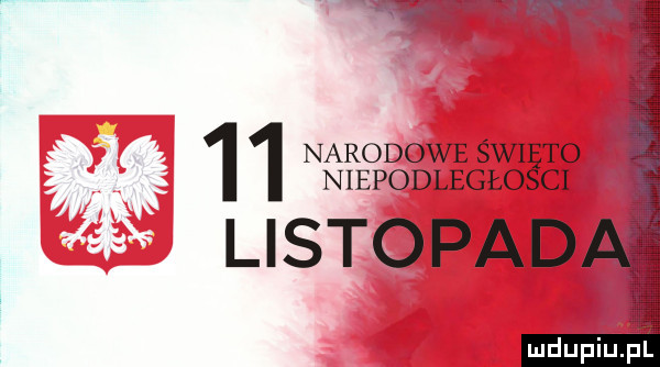 narodowe śni to niepodległo ci listopad