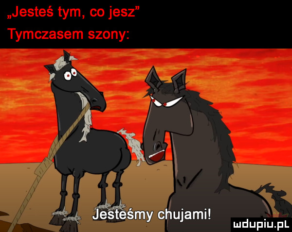 a. abakankami. abakankami ą. je say chujaml