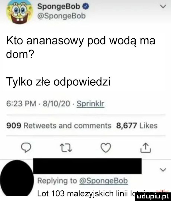 spongebob   v zuspongebob kto ananasowy pod woda ma dom tylko złe odpowiedzi      pm         sgnnkir     retwects and comments       limes q ll c i ropiymg to usqongobob lot     malezyjskich linii im