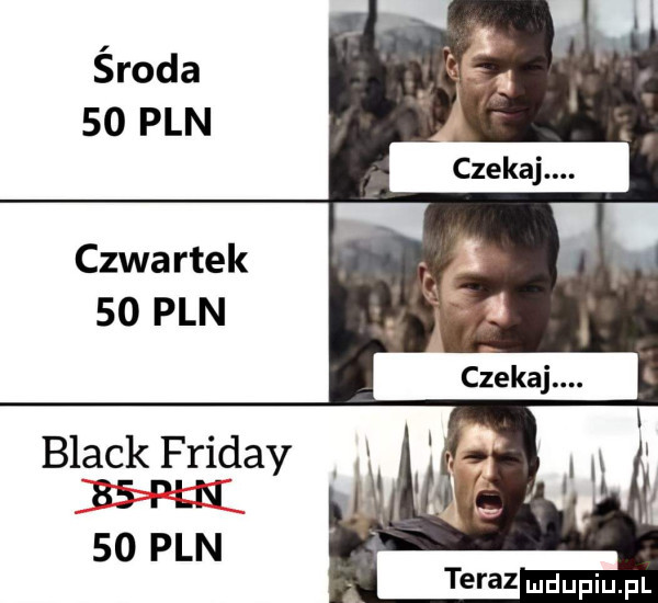 środa    pln czwartek    pln black friday    pan    pln mm