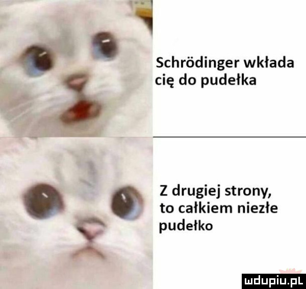 d. schródinger wkłada cię do pudełka n z drugiej strony to całkiem niezłe pudełko ludu iu. l