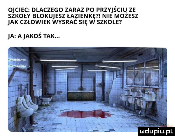 ojciec dlaczego zaraz po przyjściu ze szkoły blokujesz łazienkę nie mozesz ak człowiek wysrac się w szkole a a akoś tak