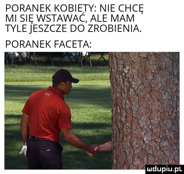 poranek kobiety nie chcę mi się wstawac ale mam tylejeszcze do zrobienia. poran ek fac eta. abakankami