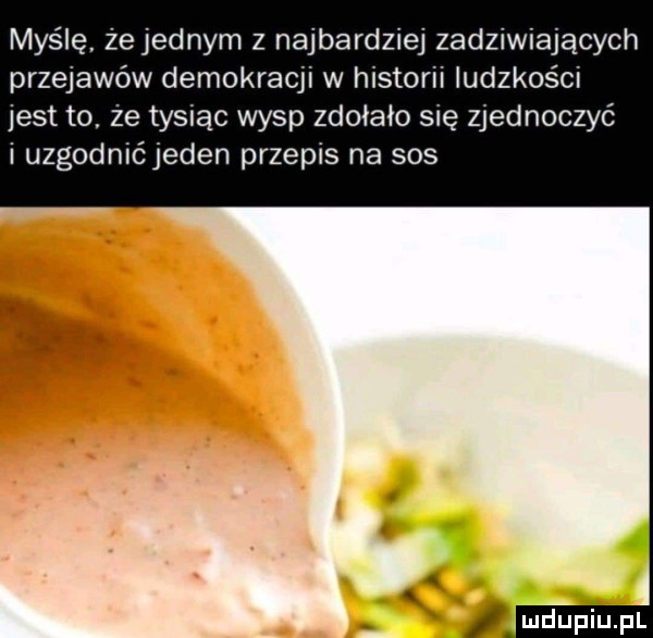 myślę żejednym z najbardziej zadziwiających przejawów demokracji w historii ludzkości jest to że tysiąc wysp zdołało się zjednoczyć i uzgodnićjeden przepis na sos