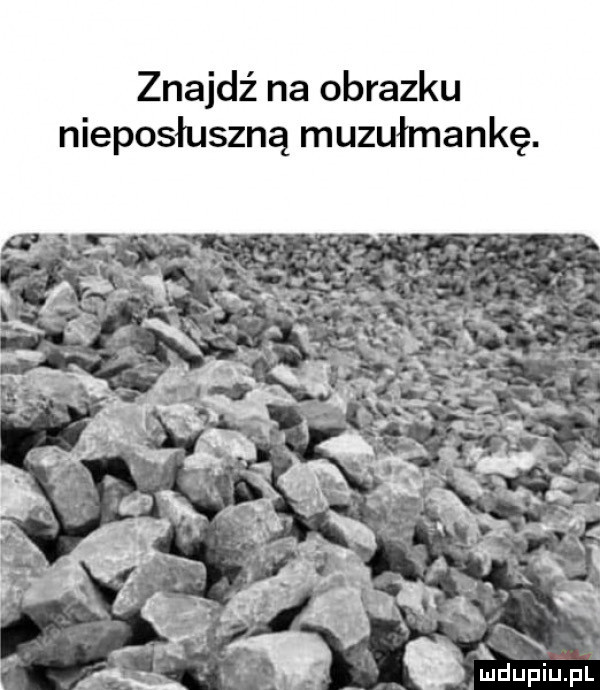 znajdź na obrazku nieposłuszną muzułmankę