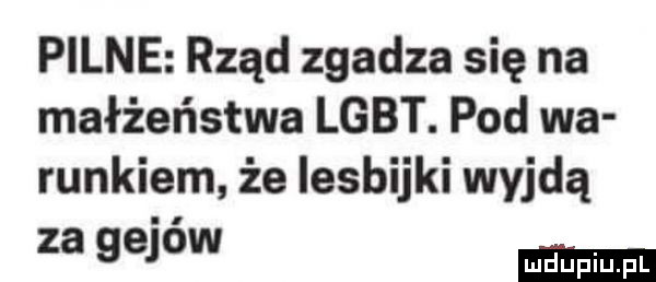 pilne rząd zgadza się na małżeństwa lgbt. pod wa runkiem że lesbijki wyjdą za gejow