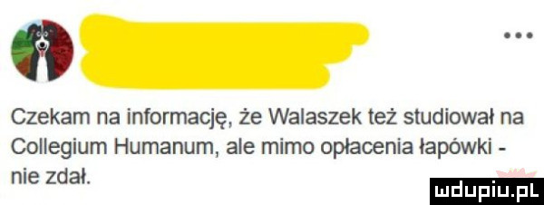 qd czekam na informację że walaszek też studiował na collegium humanum ale mimo opłacenia łapówki nie zdał