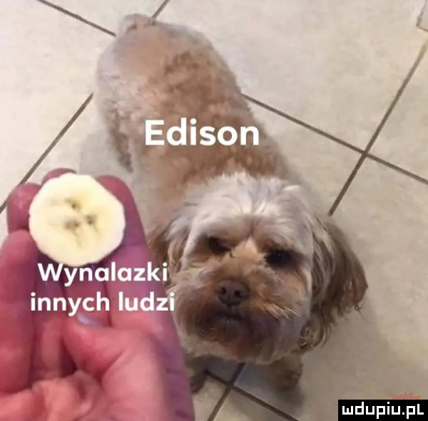 Obrazek