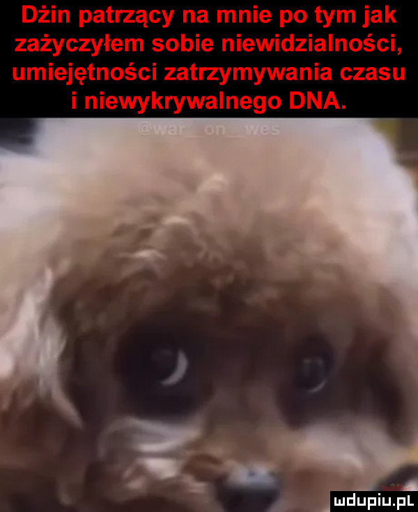 c. dx. abakankami jedupiupl