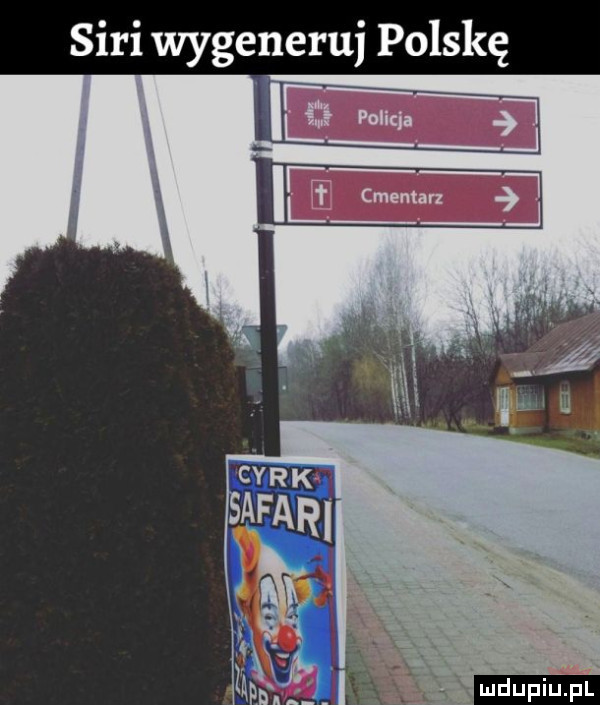 sari wygeneruj polskę ludupiu