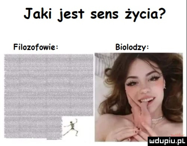 j agi jest sens życia filozofowie biolodzy ludupiuiﬁl