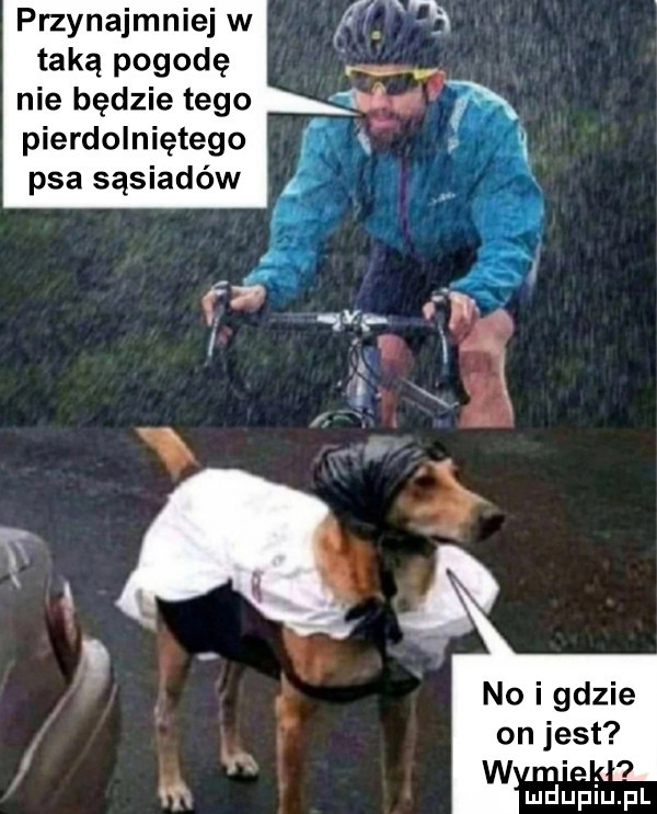 przynajmniej w taką pogodę nie będzie tego pierdolniętego psa sąsiadów iu iu. l
