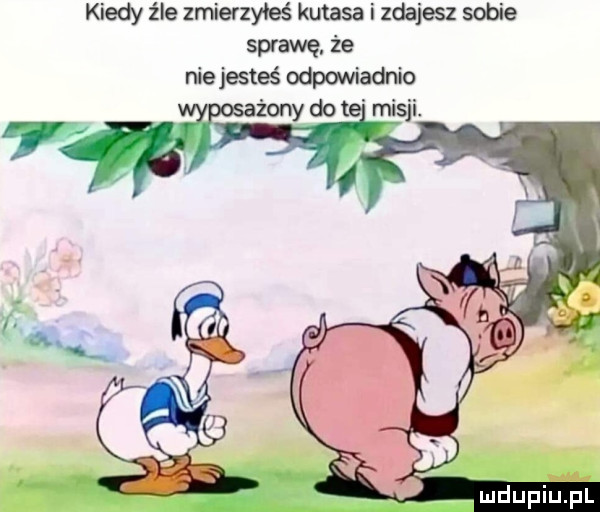 kiedy źle zmierzyłeś kutasa i zdajesz sobie sprawę. że nie jesteś odpowiednio a a    ndupiu pl