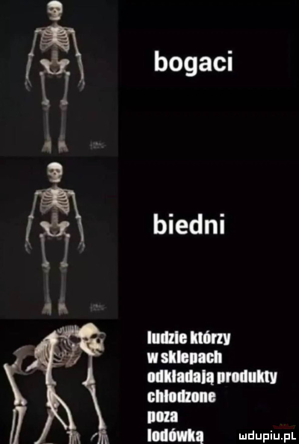 biedni lune mm vi slhlldl mam irllllm gnome i m