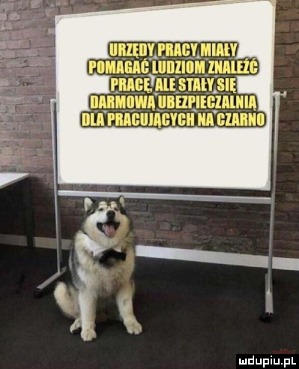 Obrazek