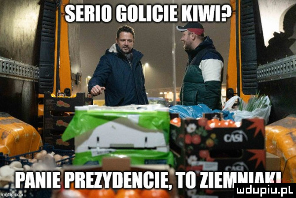serii lillligie kiwi   u u     tt. p y l a i i   x v o. n a q. łą. abakankami le emieeihviiehgie i em w ł