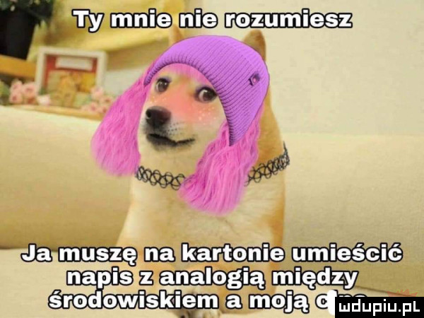 macnie r l   mm ma maaac napis   eeg eu środowiskom ę i jugu pl