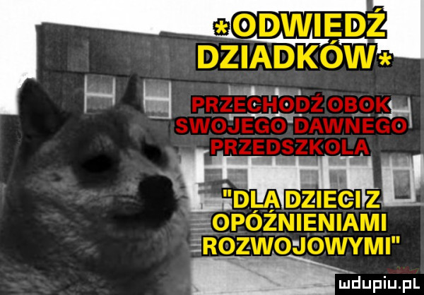 Obrazek