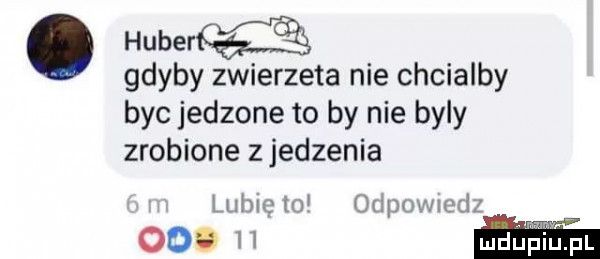 huber gdyby zwierzeta nie chcialby byc jedzone to by nie byly zrobione zjedzenia lubi w iupvmwrąi. amy ooo