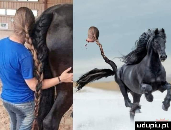 upiu pl