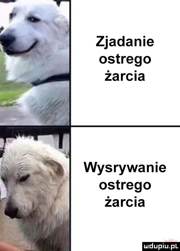 zjadanie ostrego żarcia was ryżan ie ostrego żarcia ludu iu. l