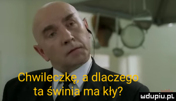 Obrazek
