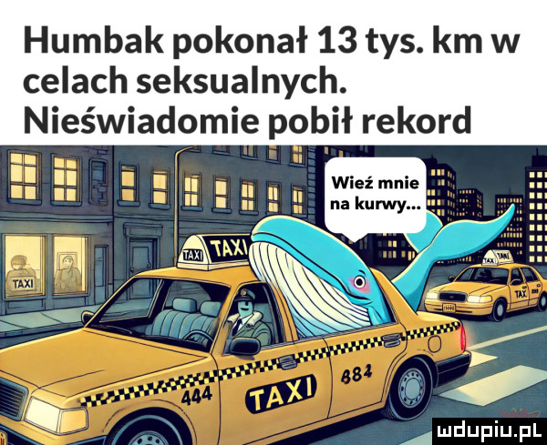 humbak pokonał    tys. km w celach seksualnych. nieświadomie pobił rekord v ie abb wieź mnie na kurwy. n raj. q mn mdupiupl
