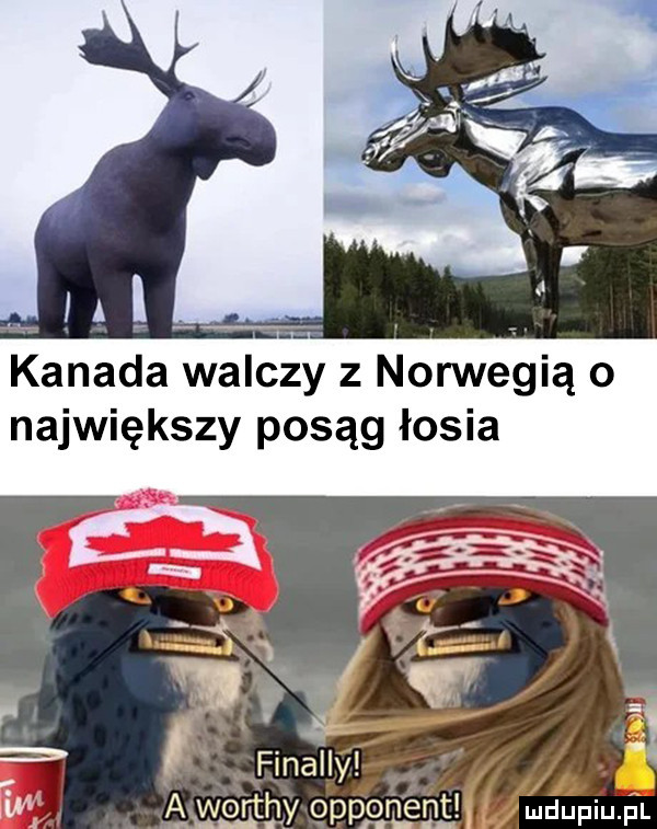 kanada walczy z norwegią o największy posąg łosia s. u   finalny mt awmby qppgqgnt mdupqul v d