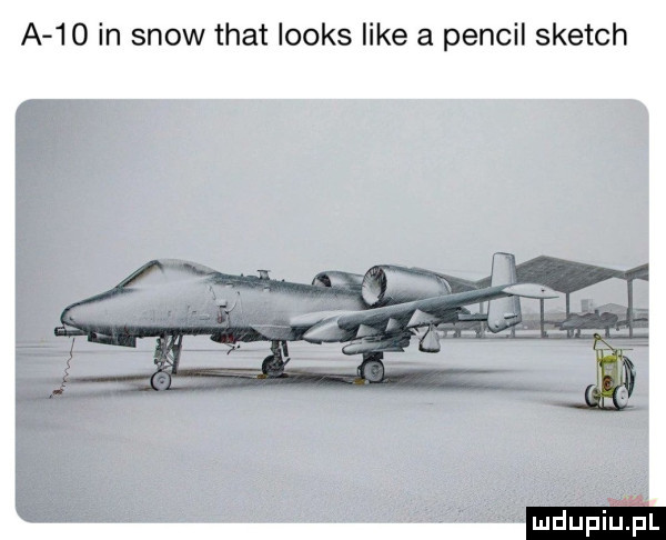 a    in snow trat looks like a penfil sketch