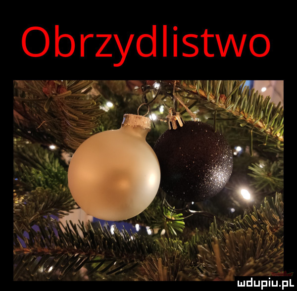 obrzydlistwo mdupiuﬁl