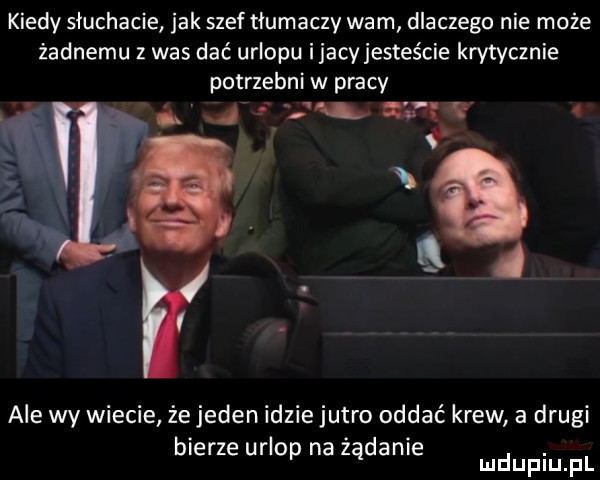 kiedy słuchacie jak szef tłumaczy warn dlaczego nie może żadnemu   was dać urlopu ijacy jesteście krytycznie potrzebni w pracy ale wy wiecie że jeden idzie jutro oddać krew a drugi bierze urlop na zadanie mmpm fl