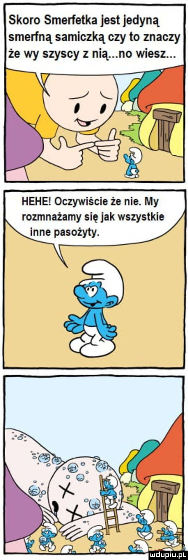 skoro smerfetka jest jedyną smerfną samiczką czy to znaczy że wy szybcy z nią no wiesz. hebe oczywiście że nie. my rozmnażamy się jak wszystkie inne pasożyty