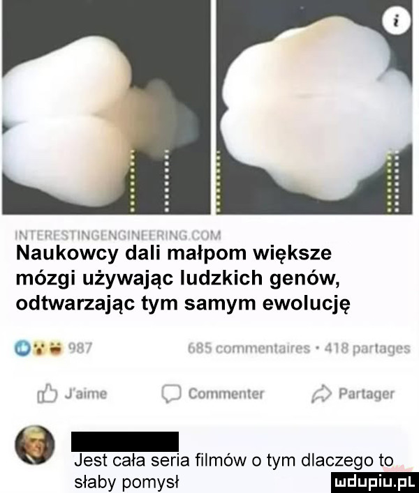 nahkovbcy dali rńałpom większe mózgi używając ludzkich genów odtwarzając tym samym ewolucję ow i. i jun  v hmmm ulu. ramp o jest cała seria filmów o tym dlaczego to słaby pomysł