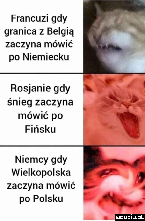 francuzi gdy granica z belgią zaczyna mówić po niemiecku rosjanie gdy x śnieg zaczyna s n mówić po fińsku   niemcy gdy wielkopolska ff zaczyna mówić l. abakankami po polsku i l ludu iu. l