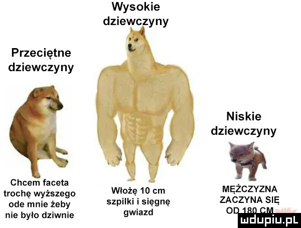 wysokie dziewczyny przeciętne dziewczyny c hcem aneta trochę wyższego wó oż ę m cm ode mnie żeby szpllkl  w  nie bylo dziwnie gwiazd niskie dziewczyny mężczyzna zaczyna się o l