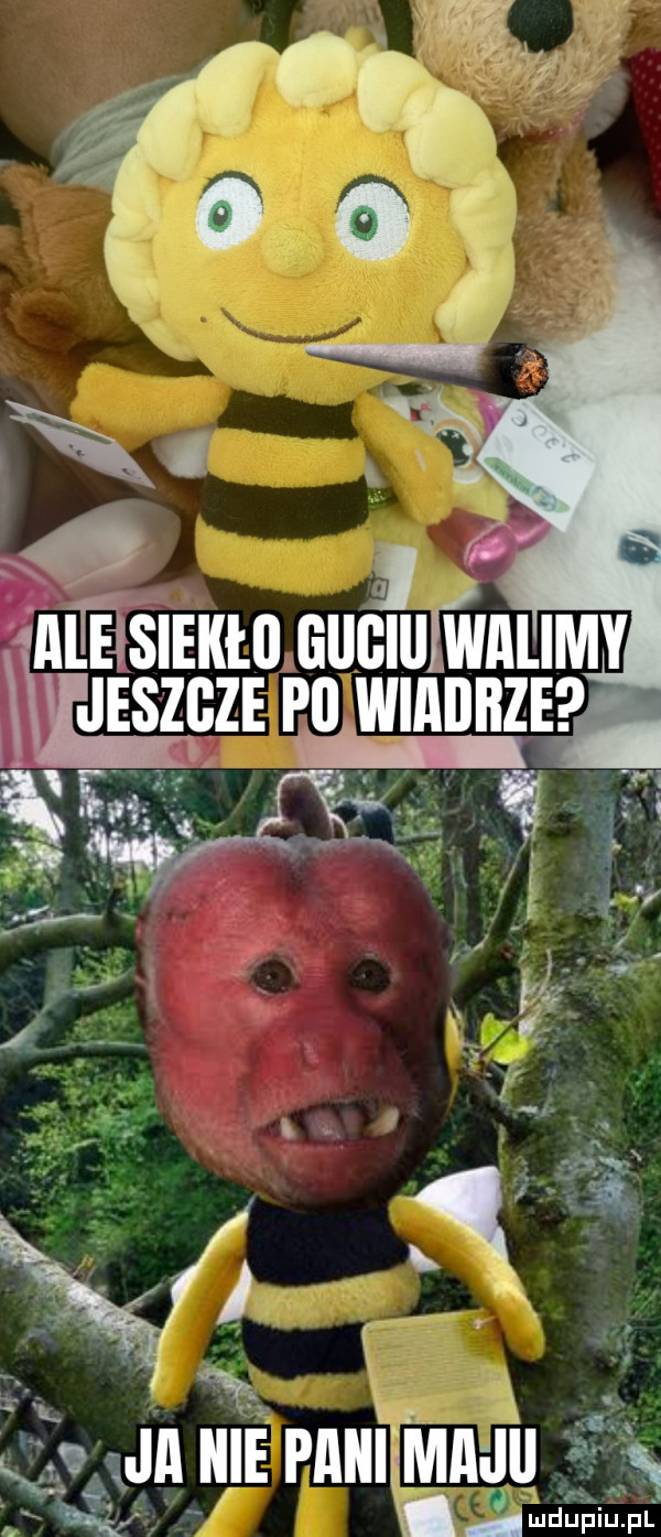 ry ja nie paiiigmajli ﬁx  de udup fl