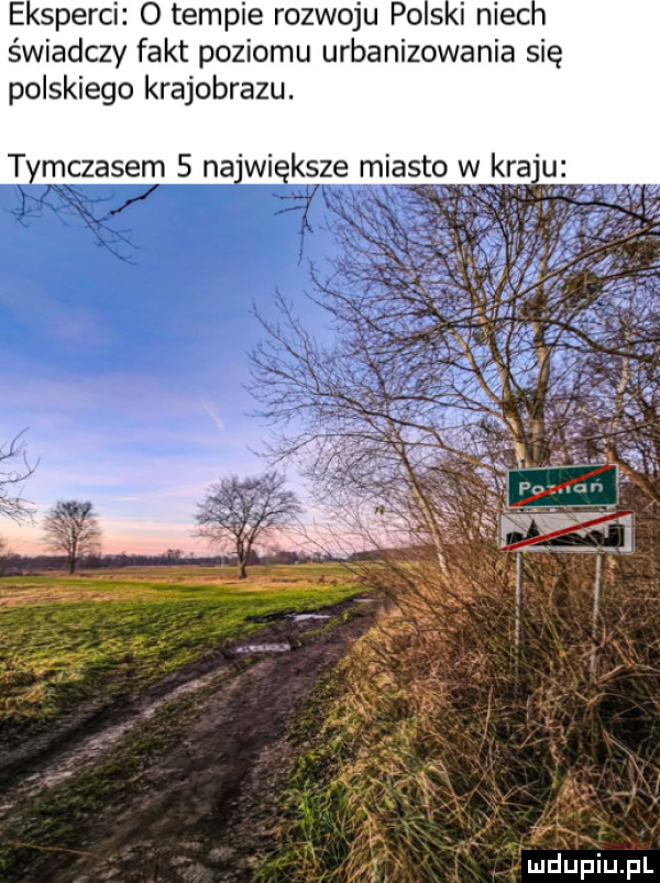e sperki o tempie rozwoju po s i niec świadczy fakt poziomu urbanizowania się polskiego krajobrazu. t mczasem s na wi krze miasto w kra u