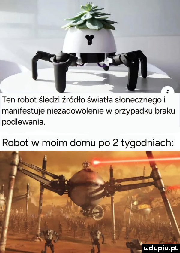 x ten robot śledzi źródło światła słonecznego i manifestuje niezadowolenie w przypadku braku podlewania. robot w moim domu po   tygodniach