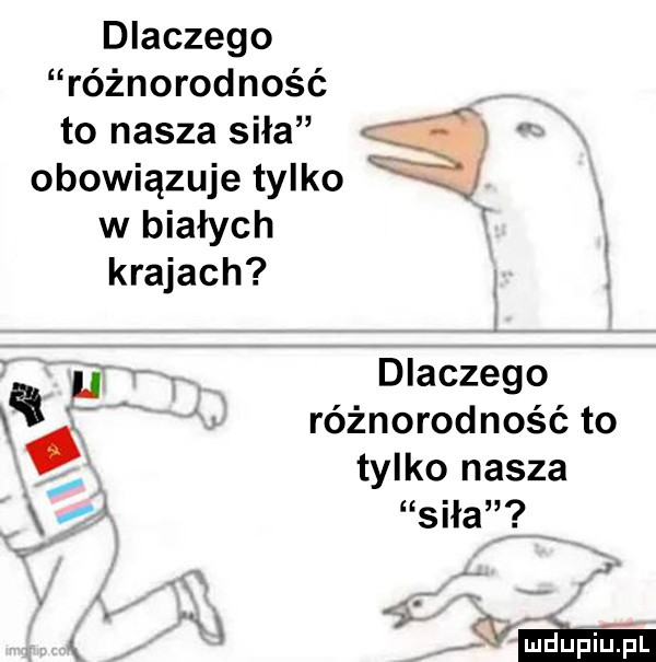 dlaczego różnorodność to nasza siła   obowiązuje tylko w białych krajach. dlaczego x różnorodność to tylko nasza siła   a w