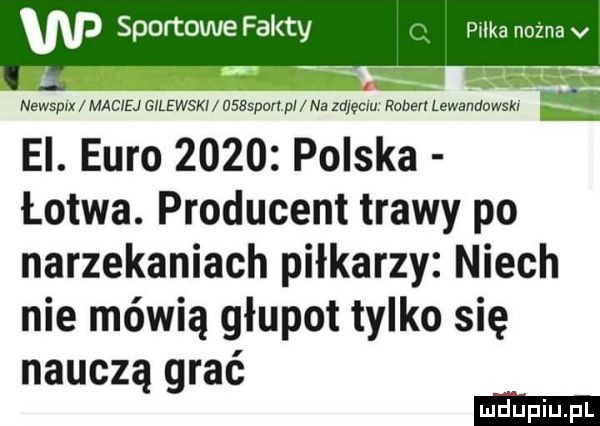 piłka nożna v newsprx maciej gvlewskv dsbsport pl na zdlecm ruben lewandowski ei. euro      polska łotwa. producent trawy po narzekaniach piłkarzy niech nie mówią głupot tylko się nauczą grać