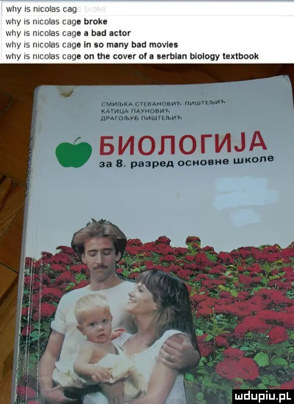 tey is nicolas sg wdy is nicolas cage bruk. wdy is mculas caen i bud aktor wdy ls nicolas cage in na miny hdd movies wdy ls nicolas cage on ma cover ol u nrblln biology textbook