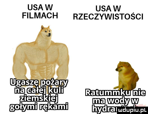 usa w usa w filmach rzeczywistości h. j udasz pożary ica całej miń ziemskiej www wai rh