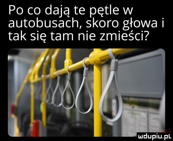 po co dają te pętle w autobusach skoro głowa tak się tam nie zmieści