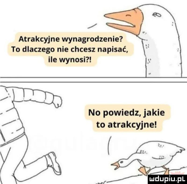 atrakcyjne wynagrodzenie to dlaczego nie chcesz napasać ile wynosi no powiedz. jakie to atrakcyjne